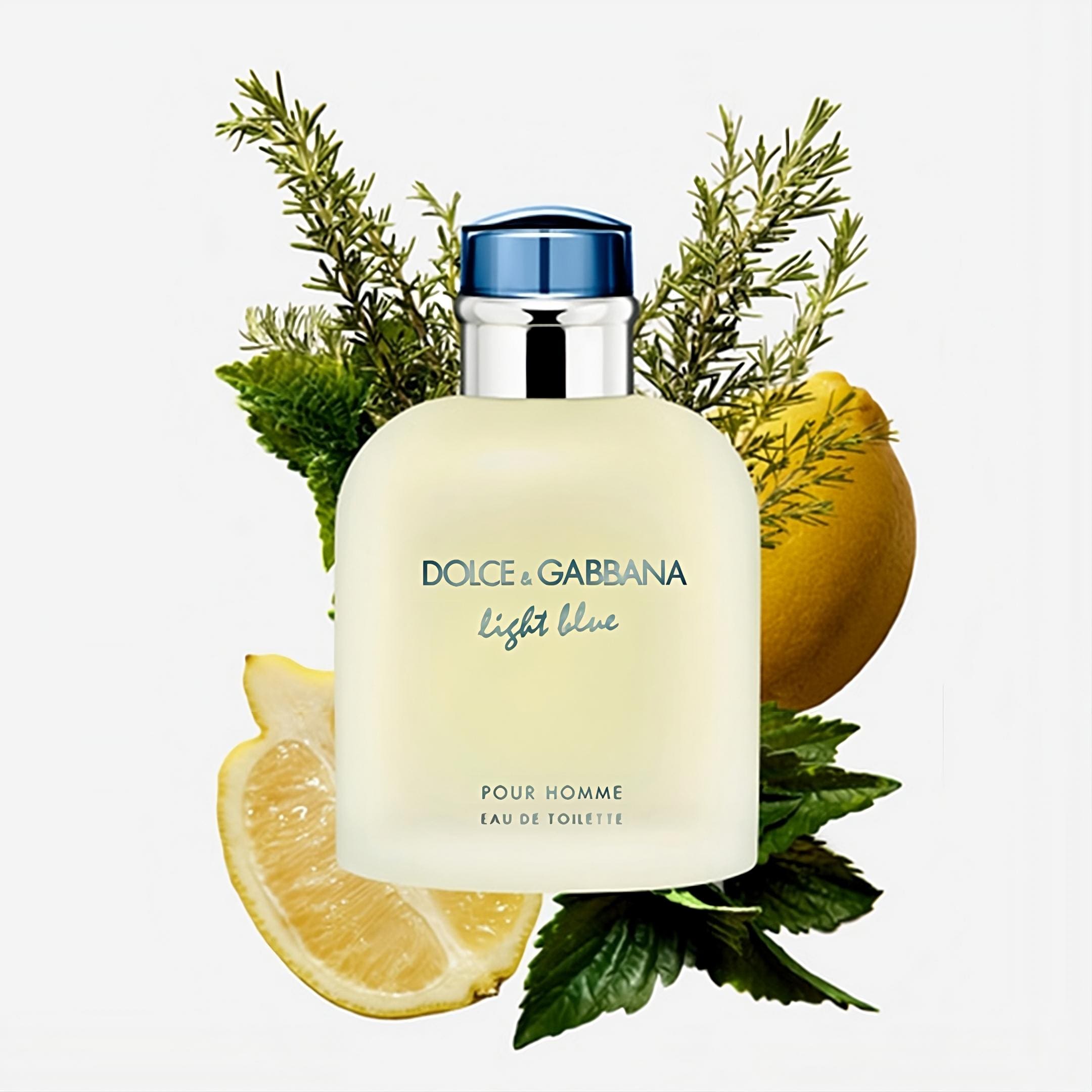 Nước Hoa Dolce & Gabbana Light Blue Men 3 Nước Hoa Dolce & Gabbana Light Blue Men