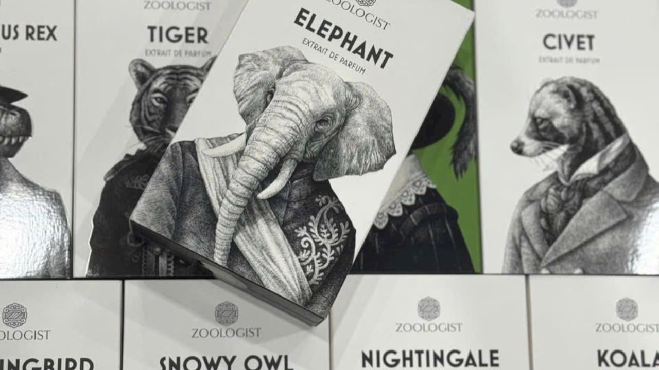 Nước Hoa Zoologist Elephant